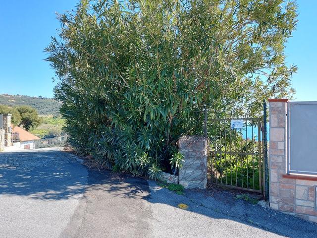 #23184 Terreni agricoli con vasca in vendita - foto 7