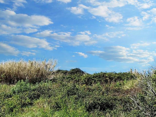 #23193 Terreno agricolo di 29.226 mq in vendita - foto 4