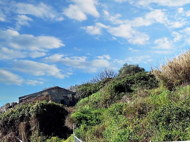 #23193 Terreno agricolo di 29.226 mq in vendita - foto 5