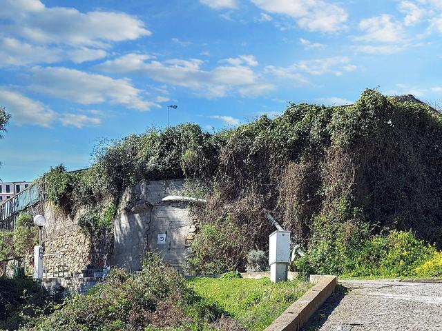 #23193 Terreno agricolo di 29.226 mq in vendita - foto 6