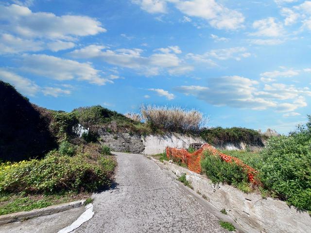 #23193 Terreno agricolo di 29.226 mq in vendita - foto 7