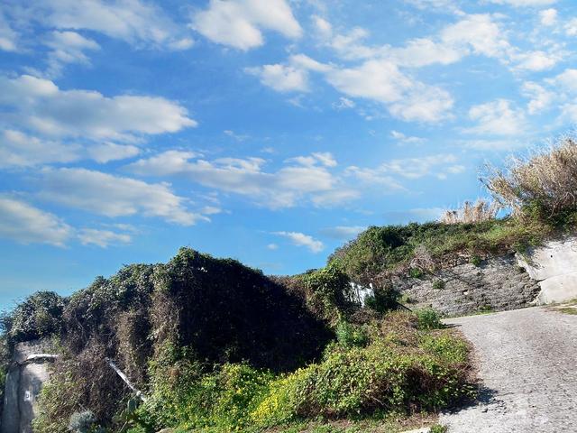 #23193 Terreno agricolo di 29.226 mq in vendita - foto 8