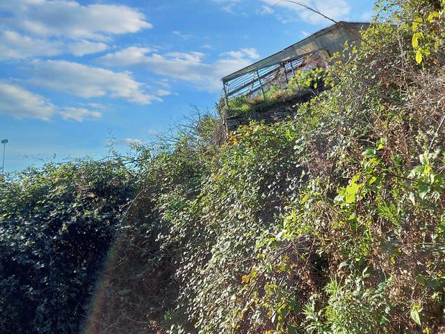 #23193 Terreno agricolo di 29.226 mq in vendita - foto 10