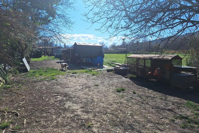 #23205 Appezzamento agricolo con pertinenze rurali in vendita - foto 2