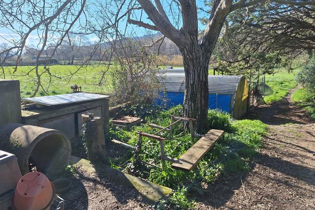 #23205 Appezzamento agricolo con pertinenze rurali in vendita - foto 5