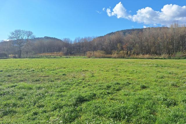 #23205 Appezzamento agricolo con pertinenze rurali in vendita - foto 6