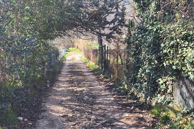 #23205 Appezzamento agricolo con pertinenze rurali in vendita - foto 7