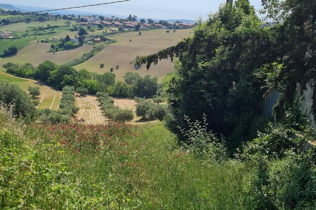 #23208 Terreno agricolo di complessivi 14360 mq in vendita - foto 3