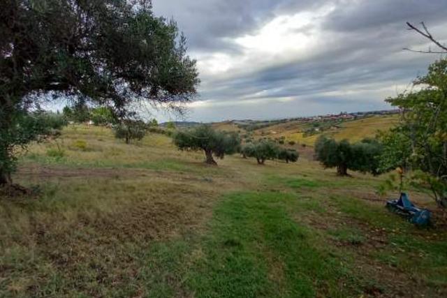 #23208 Terreno agricolo di complessivi 14360 mq in vendita - foto 4