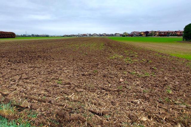 Agricoli in vendita