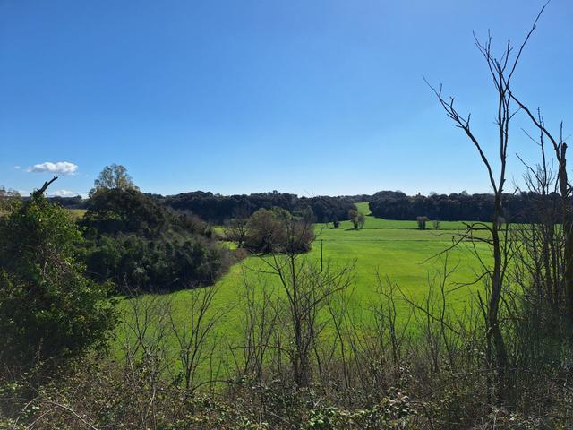 Agricoli in vendita