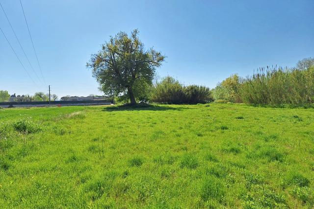 #23510 Terreni agricoli di 105.216 mq in vendita - foto 3