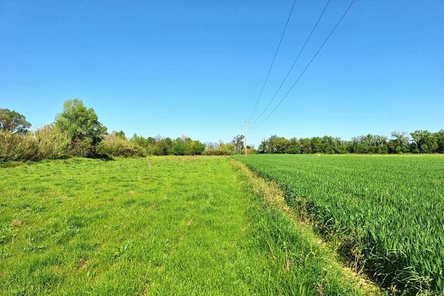 #23510 Terreni agricoli di 105.216 mq in vendita - foto 4