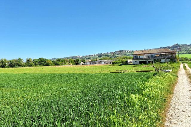 #23510 Terreni agricoli di 105.216 mq in vendita - foto 5