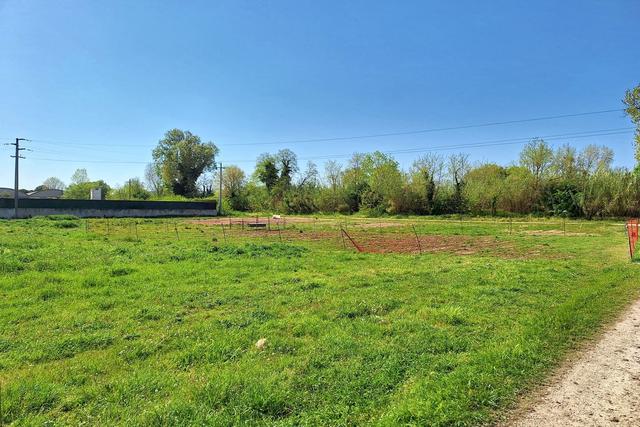 #23510 Terreni agricoli di 105.216 mq in vendita - foto 10