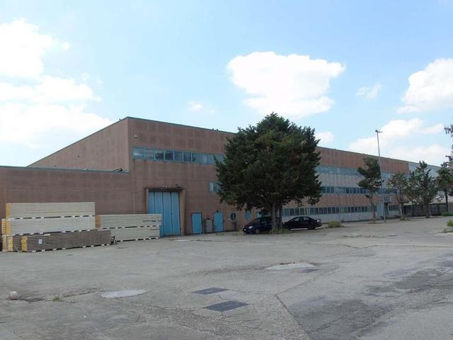 #23522 Capannone industriale con terreni in vendita - foto 12