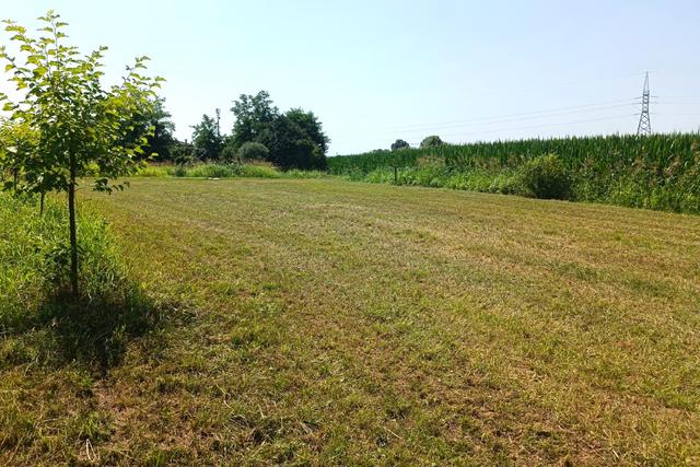 #23624 Terreno agricolo con baracche da demolire in vendita - foto 2