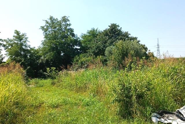 #23624 Terreno agricolo con baracche da demolire in vendita - foto 8