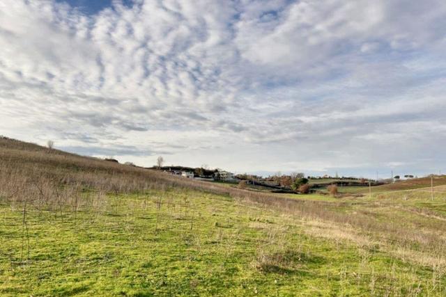 #23639 Terreni agricoli di 59.995 mq in vendita - foto 4
