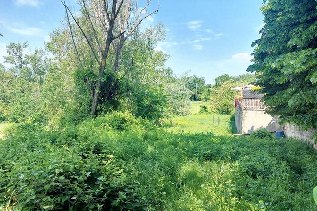 #23670 Terreno agricolo di 2.405 mq in vendita - foto 4