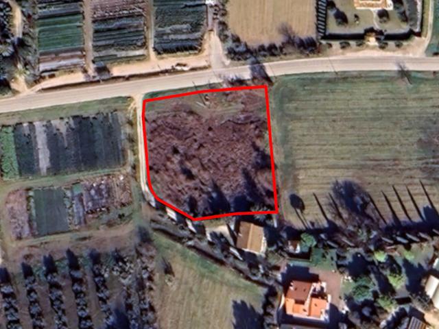 #23738 Terreno agricolo di 4.080 mq in vendita - foto 1