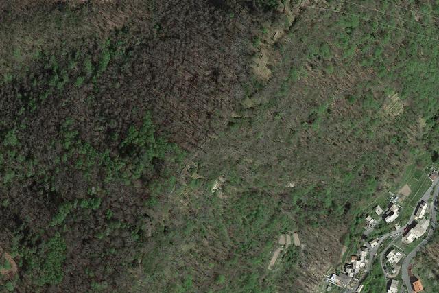 #23750 Diritti di escavazione su terreni – Cava Fondega in vendita - foto 3