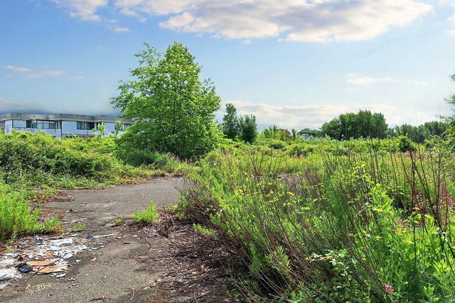 #23830 Appezzamenti di terreno di complessivi 21.745 mq in vendita - foto 4