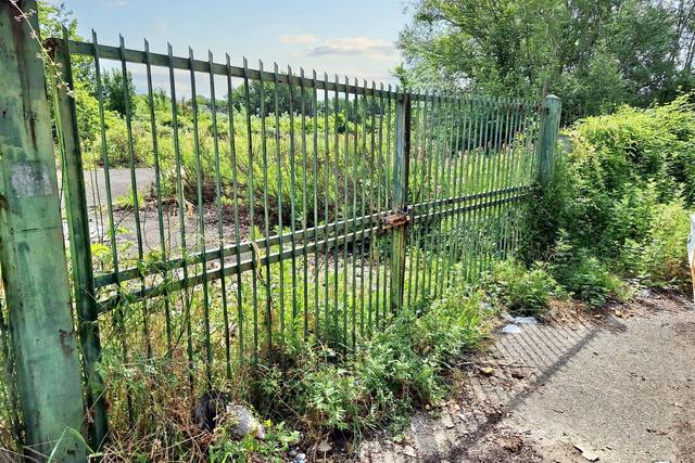 #23830 Appezzamenti di terreno di complessivi 21.745 mq in vendita - foto 5