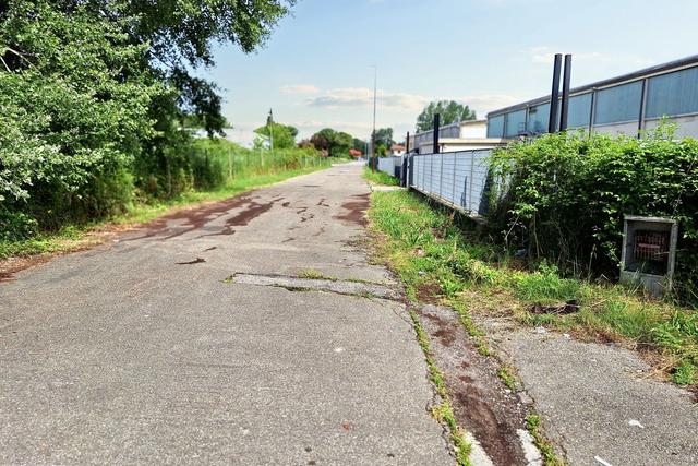 #23830 Appezzamenti di terreno di complessivi 21.745 mq in vendita - foto 7