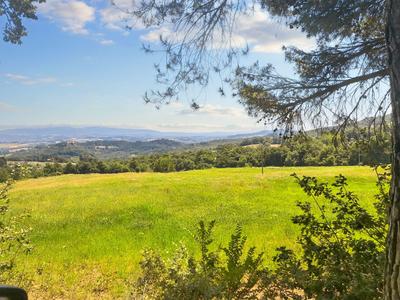 Agricoli in vendita