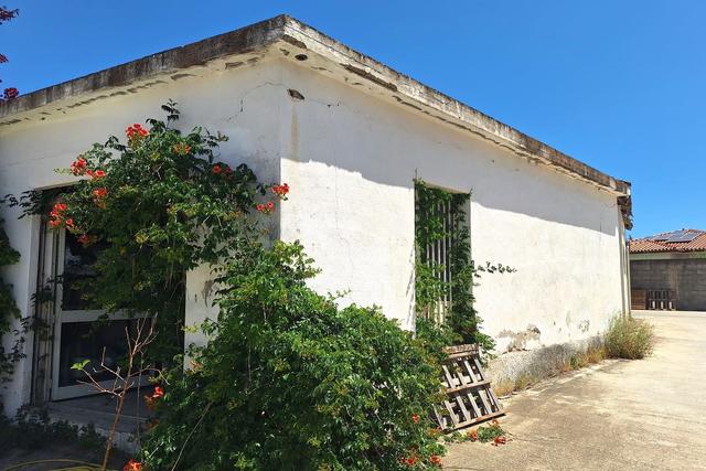 #23963 Complesso artigianale con cortile e pertinenze in vendita - foto 11