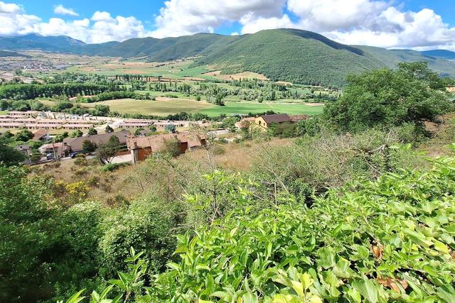 Agricoli in vendita