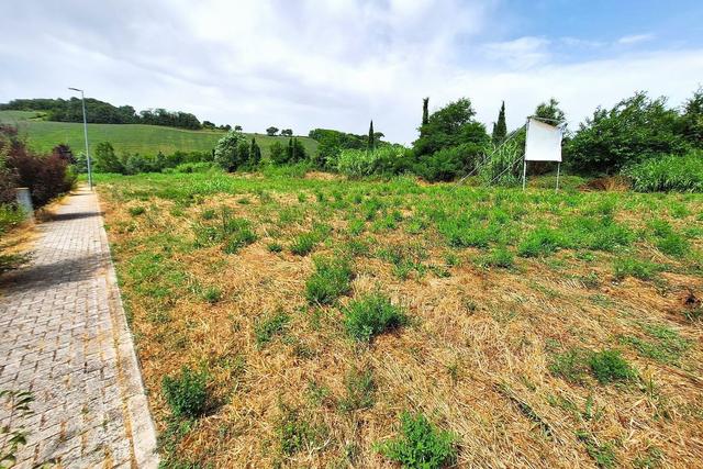 #24071 Area edificabile di 1149 mq in zona residenziale in vendita - foto 6