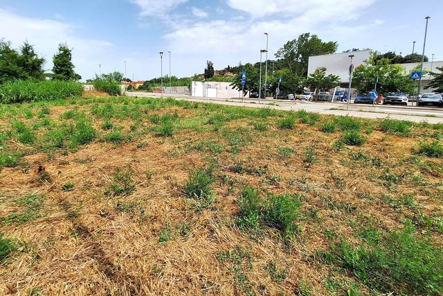#24071 Area edificabile di 1149 mq in zona residenziale in vendita - foto 7