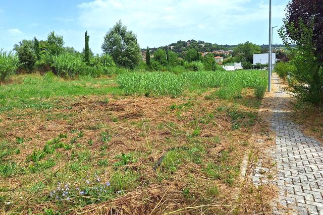 #24072 Area edificabile di 1294 mq in zona residenziale in vendita - foto 3