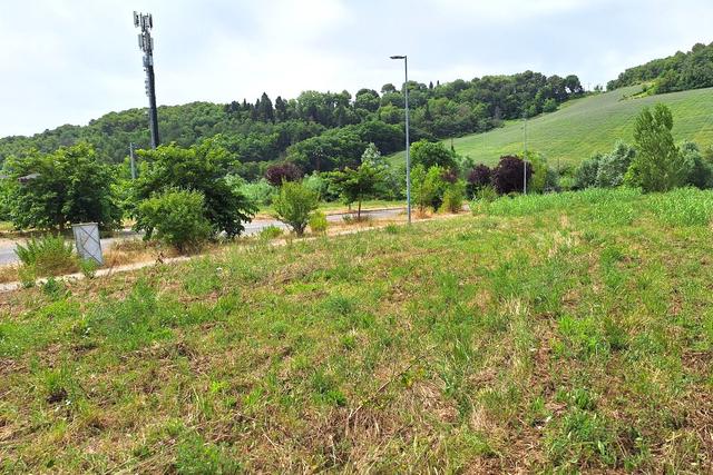 #24072 Area edificabile di 1294 mq in zona residenziale in vendita - foto 4