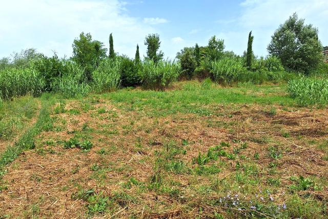 #24072 Area edificabile di 1294 mq in zona residenziale in vendita - foto 9