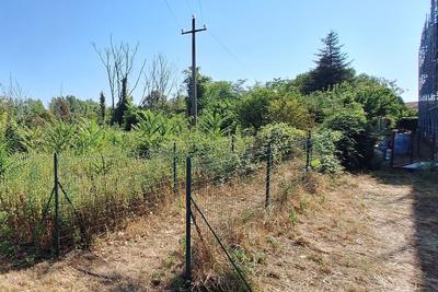 Agricoli in vendita