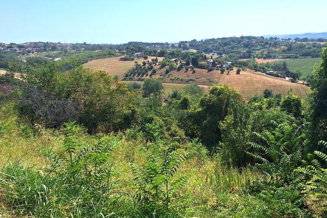 #24123 Terreno edificabile a sviluppo residenziale in vendita - foto 2