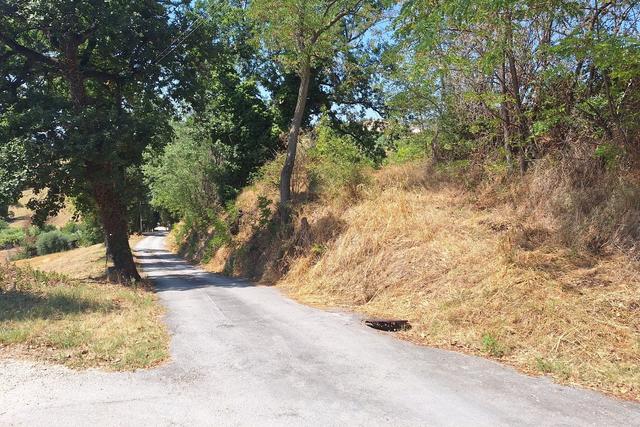 #24123 Terreno edificabile a sviluppo residenziale in vendita - foto 3