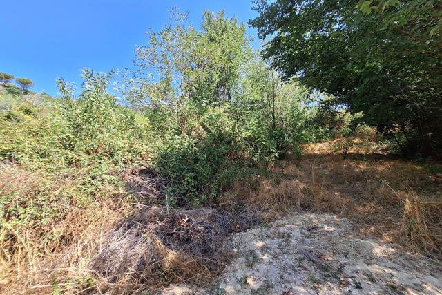 #24123 Terreno edificabile a sviluppo residenziale in vendita - foto 4