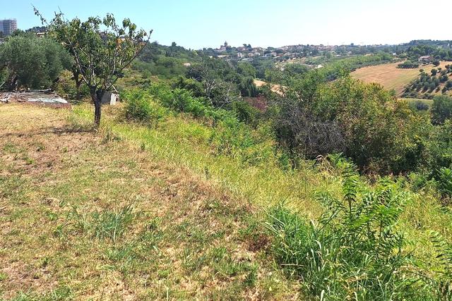 #24123 Terreno edificabile a sviluppo residenziale in vendita - foto 6