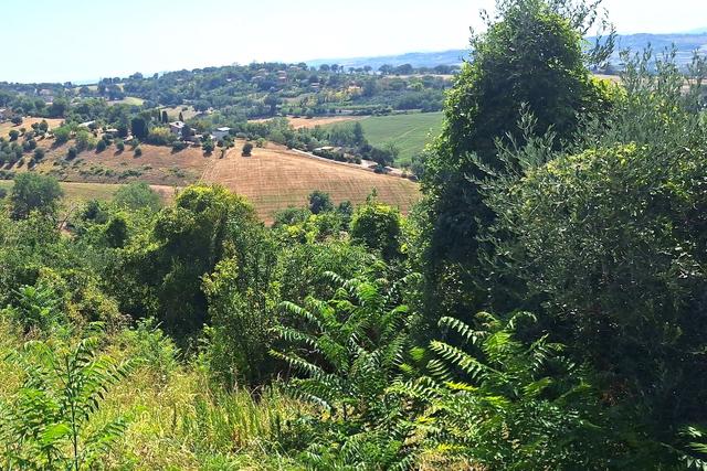 #24123 Terreno edificabile a sviluppo residenziale in vendita - foto 10