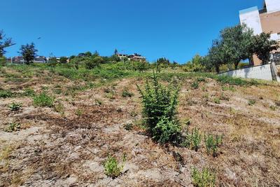 Agricoli in vendita