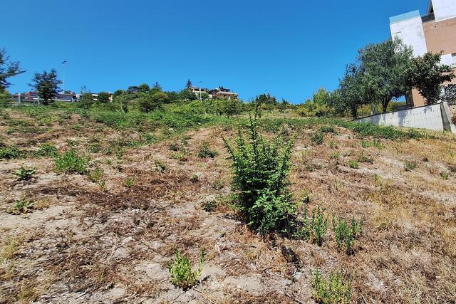 Agricoli in vendita