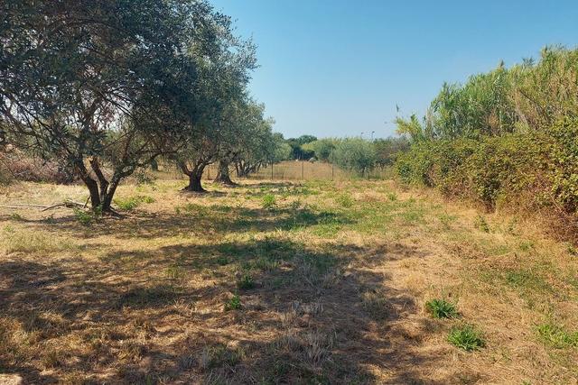 #24191 Terreno agricolo con porzione di viabilità in vendita - foto 1