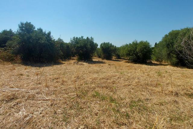 #24191 Terreno agricolo con porzione di viabilità in vendita - foto 2