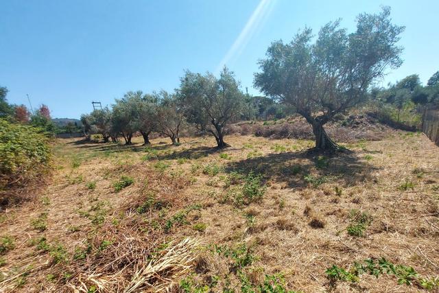 #24191 Terreno agricolo con porzione di viabilità in vendita - foto 6
