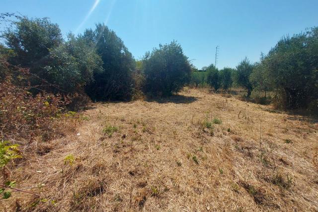 #24191 Terreno agricolo con porzione di viabilità in vendita - foto 7