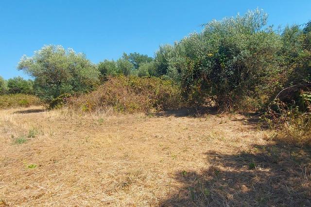 #24191 Terreno agricolo con porzione di viabilità in vendita - foto 10